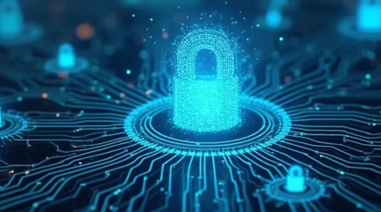 network vulnerabilities